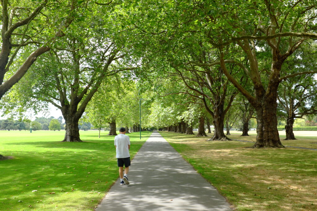 A Walk in the Park