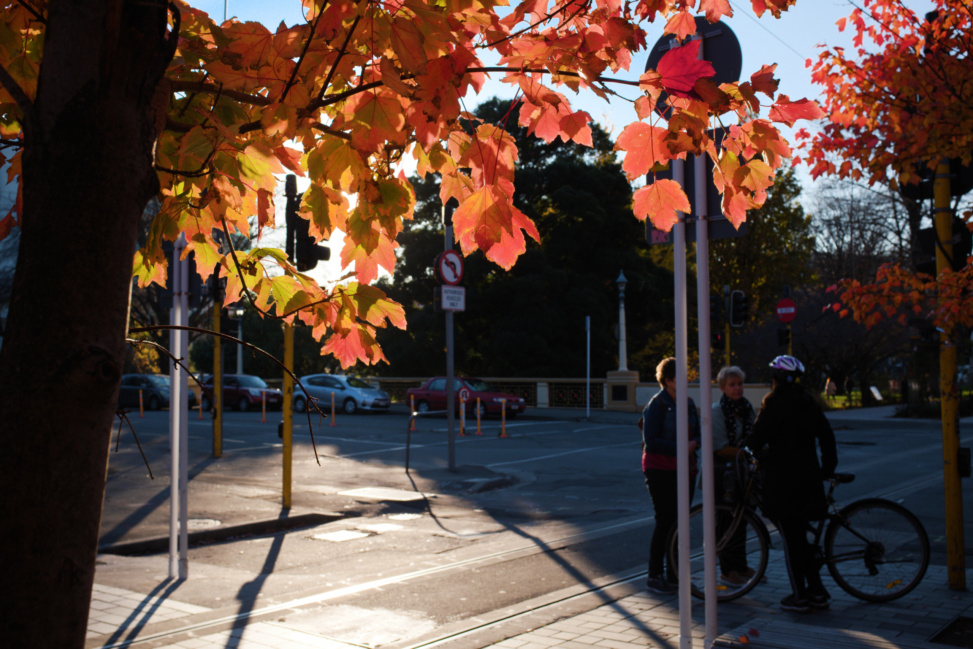 Autumn Scene in Christchurch City