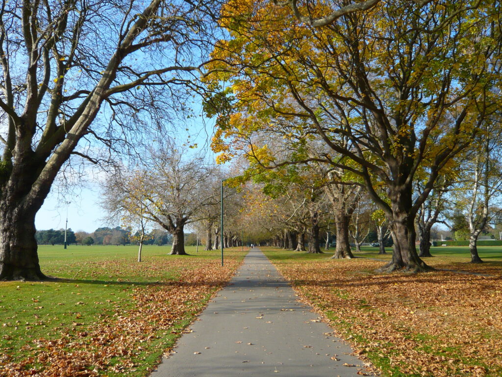 Hagley Park in Autumn