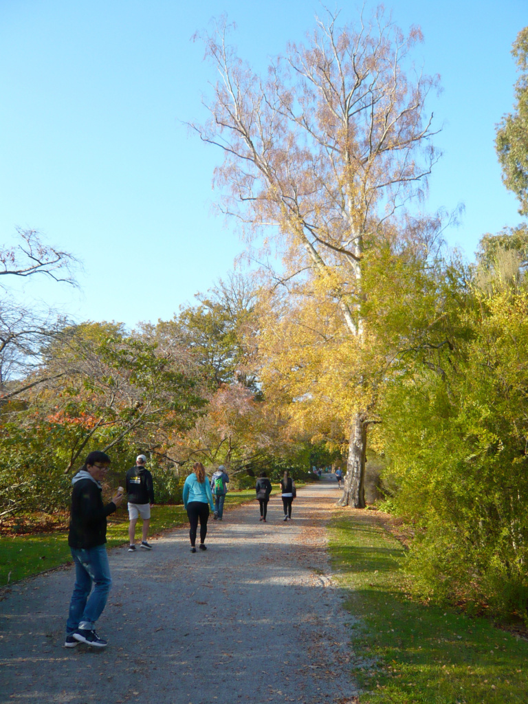 Botanic Gardens