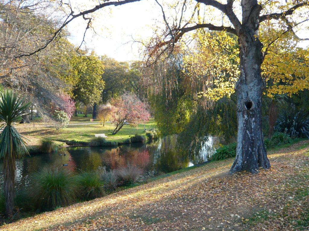 Muted Autumn Colours