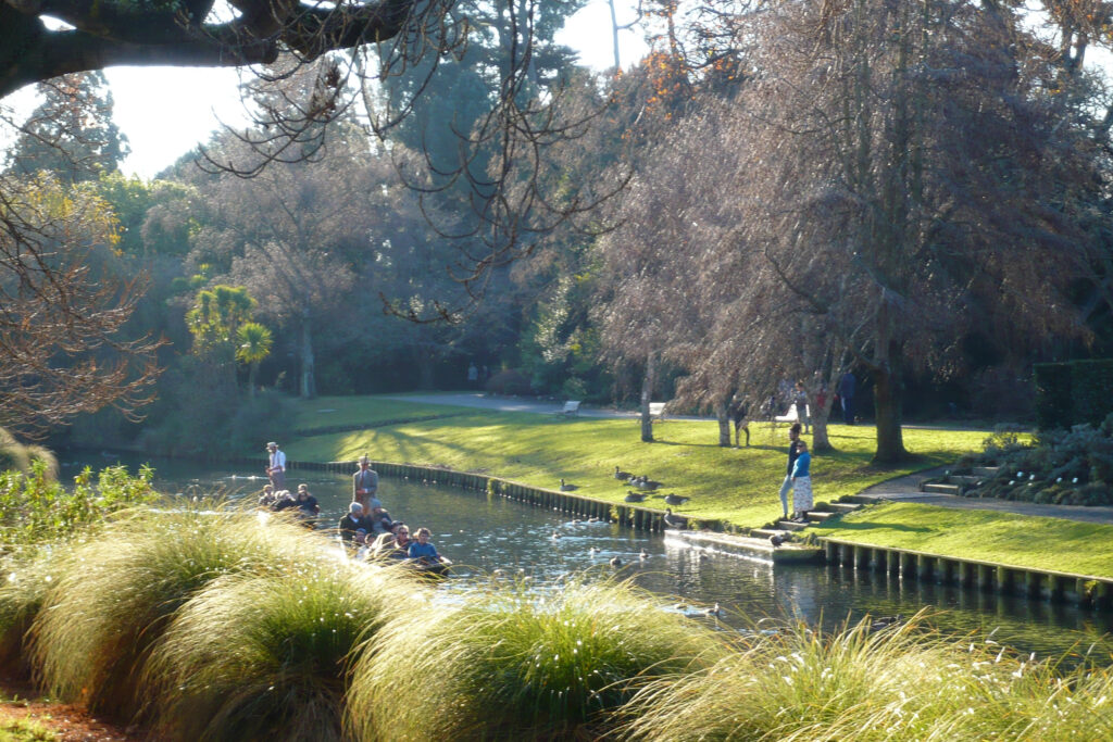 Punting on the Avon River