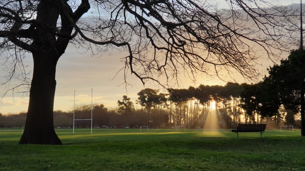 Sunbeam in Hagley Park