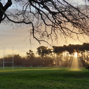 Sunbeam in Hagley Park