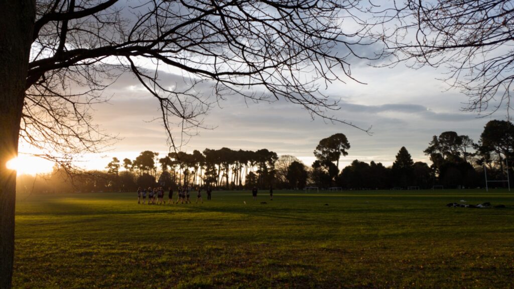 Sunset in Hagley Park