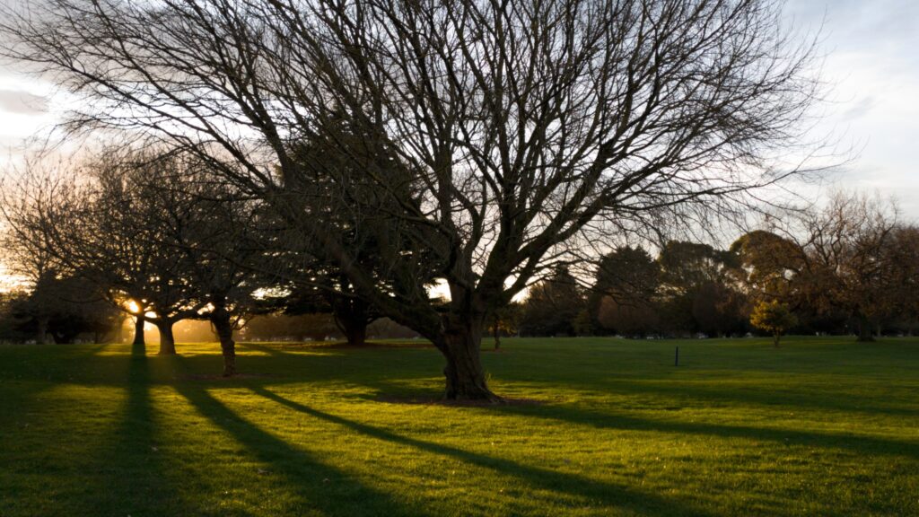 Sunset in Hagley Park