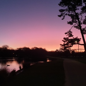 Pink Sunset at Hagley Park