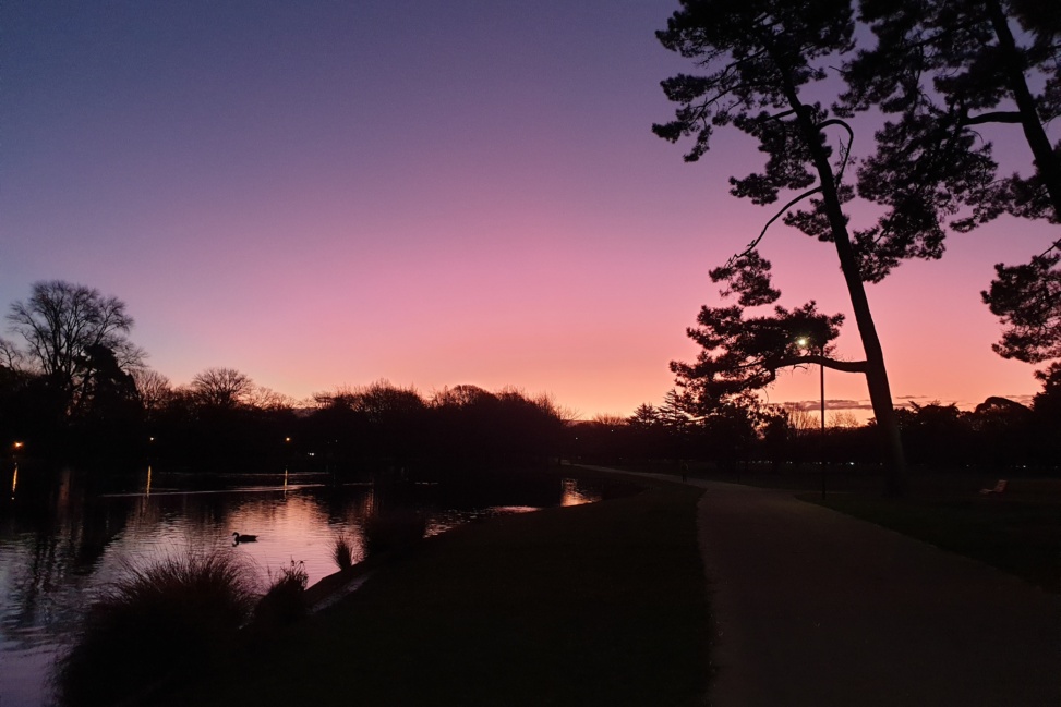 Pink Sunset at Hagley Park